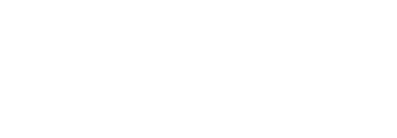 Blue Nova Consulting
